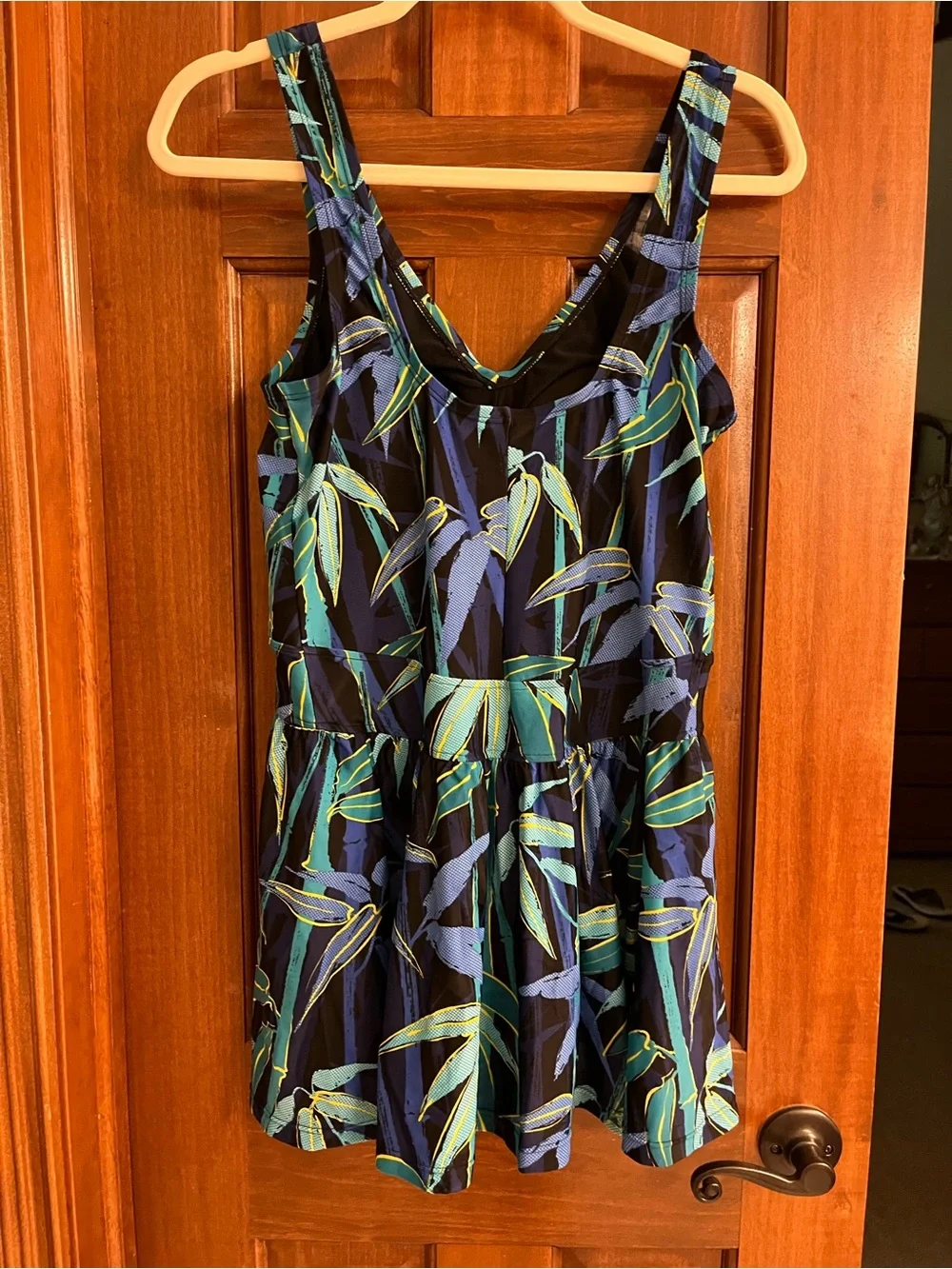 Maxine of Hollywood Swim dress